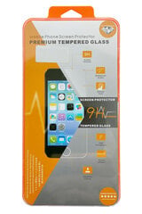 Защитное стекло Orange для дисплея Apple iPhone 11 цена и информация | Защитные пленки для телефонов | pigu.lt