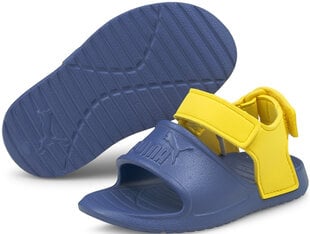 Puma Обувь Divecat V2 Injex Yellow Blue цена и информация | Сандали NATIVE Charley Block Child 233954 | pigu.lt