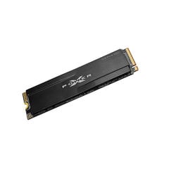 Silicon Power SP256GBP34XD8005 kaina ir informacija | Vidiniai kietieji diskai (HDD, SSD, Hybrid) | pigu.lt