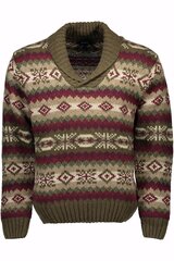 Мужской свитер Gant, хаки цена и информация | Мужские свитера | pigu.lt