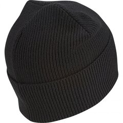 Kepurė vyrams Adidas Tiro Woolie DQ1070 цена и информация | Мужские шарфы, шапки, перчатки | pigu.lt