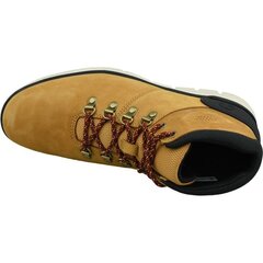 Повседневная обувь для мужчин Timberland Bradstreet Hiker M A26YZ цена и информация | Мужские ботинки | pigu.lt