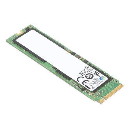 Lenovo 4XB1D04756 kaina ir informacija | Vidiniai kietieji diskai (HDD, SSD, Hybrid) | pigu.lt