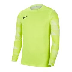 Футболка мужская Nike Dry Park IV M CJ6066-702, зеленая цена и информация | Мужская спортивная одежда | pigu.lt