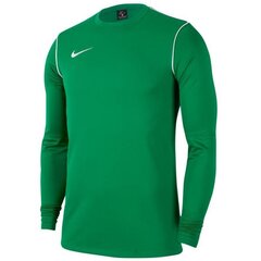 Футболка для мальчиков Nike Y Dry Park 20 Crew Jr BV6901 302, зеленая цена и информация | Рубашки для мальчиков | pigu.lt