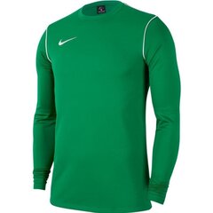 Мужская футболка Nike Park 20 Crew Top M BV6875 302, зеленая цена и информация | Мужские термобрюки, темно-синие, SMA61007 | pigu.lt