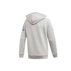 Свитер для мальчиков Adidas Sport Track Hoodie Junior ED6486, серый цена и информация | Свитеры, жилетки, пиджаки для мальчиков | pigu.lt