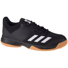 Спортивная обувь для мальчиков Adidas Ligra 6 Jr D97704, черная цена и информация | Детская спортивная обувь | pigu.lt