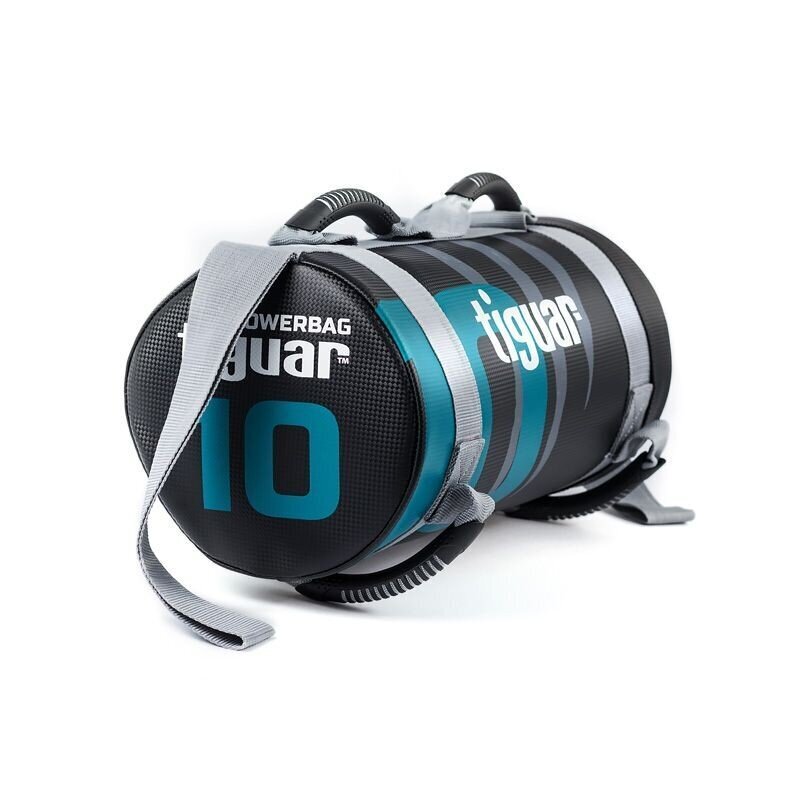 Jėgos maišas TIGUAR Power Bag, 10kg kaina ir informacija | Svoriai, svarmenys, štangos | pigu.lt