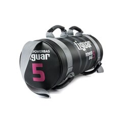 Jėgos maišas TIGUAR Power Bag, 5kg kaina ir informacija | Svoriai, svarmenys, grifai | pigu.lt