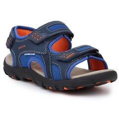 Сандалии для мальчиков Geox S Strada B Jr J9224B-014CE-C0659, синие цена и информация | Детские сандали | pigu.lt