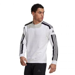 Marškinėliai vyrams Adidas Squadra 21 Sweat Top, M GT6641, balti kaina ir informacija | Sportinė apranga vyrams | pigu.lt