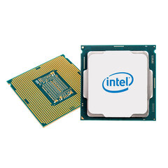Intel BX8070811700FSRKNR kaina ir informacija | Procesoriai (CPU) | pigu.lt