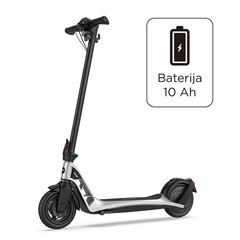 Электрический самокат Beaster Scooter BS09, 250 Вт, 36 В, 10 Ач цена и информация | Электрические самокаты | pigu.lt