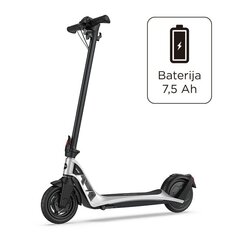 Электрический самокат Beaster Scooter BS08, 250 Вт, 36 В, 7,5 Ач цена и информация | Электрические самокаты | pigu.lt