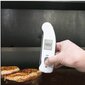 Thermapen IR ETI 228-065 kaina ir informacija | Išskirtiniai maisto gaminimo prietaisai | pigu.lt