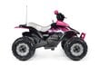 Vaikiškas vienvietis elektrinis keturratis Peg Perego Corral T-Rex 330W Pink 12V, rožinis цена и информация | Elektromobiliai vaikams | pigu.lt