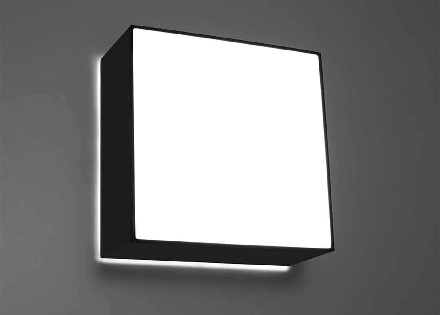 Sollux lubinis šviestuvas Horus kaina ir informacija | Lubiniai šviestuvai | pigu.lt