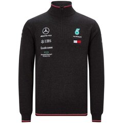 Джемпер для мужчин Mercedes AMG Petronas Mapm RP M 141191036-150, серый цена и информация | Мужские толстовки | pigu.lt