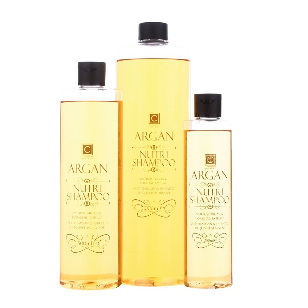 Plaukų šampūnas su arganu ARGAN, 1000 ml цена и информация | Šampūnai | pigu.lt