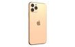 Renewd® iPhone 11 Pro 64GB Gold цена и информация | Mobilieji telefonai | pigu.lt