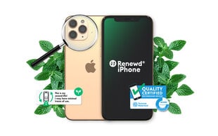 Renewd® iPhone 11 Pro 64GB Gold цена и информация | Мобильные телефоны | pigu.lt