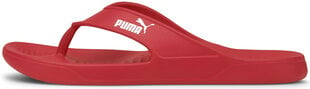 Сланцы Puma Agua Flip Poppy Red цена и информация | Мужские шлепанцы, босоножки | pigu.lt