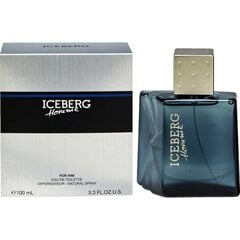 Туалетная вода Iceberg Homme EDT для мужчин, 100 мл цена и информация | Мужские духи | pigu.lt