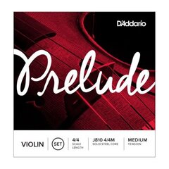 Струны для скрипки 4/4 D'Addario Prelude цена и информация | Принадлежности для музыкальных инструментов | pigu.lt