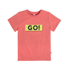 Marškinėliai berniukams, raudoni kaina ir informacija | Marškinėliai berniukams | pigu.lt
