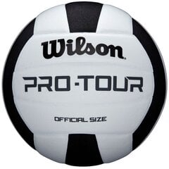 Tinklinio kamuolys Wilson Pro-Tour WTH20119XB цена и информация | Волейбольные мячи | pigu.lt