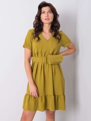 Suknelė moterims Vianna, žalia kaina ir informacija | Suknelės | pigu.lt