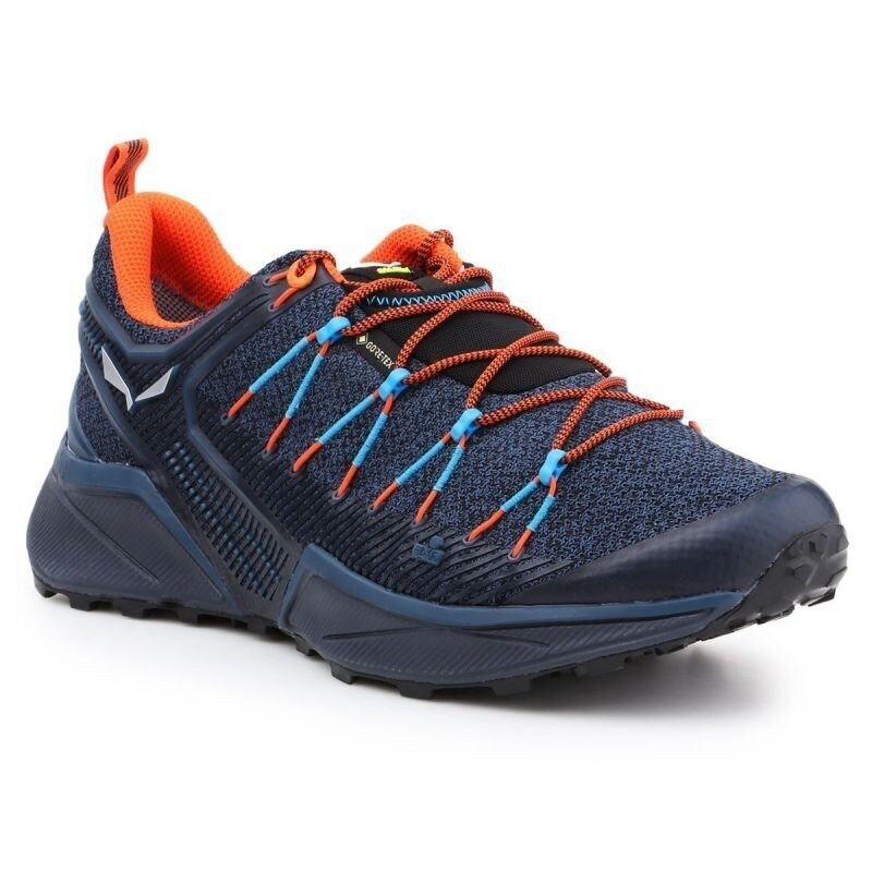 Žygio batai vyrams Salewa Ms Dropline GTX M 61366-8669, mėlyni цена и информация | Kedai vyrams | pigu.lt