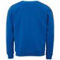 Džemperis vyrams Kappa Ildan M 309004 19-4151, mėlynas kaina ir informacija | Džemperiai vyrams | pigu.lt