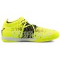 Futbolo bateliai Puma Future Z 3.1 IT M 106388 01 kaina ir informacija | Futbolo bateliai | pigu.lt