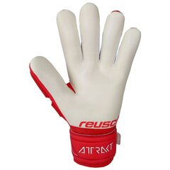 Вратарские перчатки Reusch Attrakt Freegel Silver 5170235 3002 цена и информация | Перчатки вратаря | pigu.lt