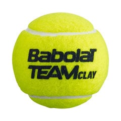 Lauko teniso kamuoliukai Babolat Team Clay, 3vnt цена и информация | Товары для большого тенниса | pigu.lt