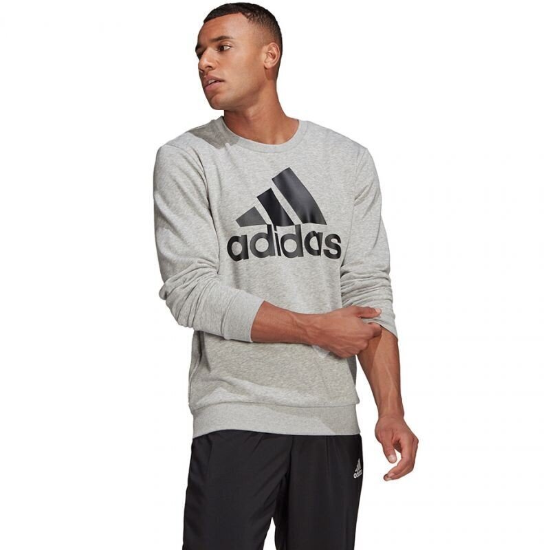 Džemperis vyrams Adidas Essentials M GK9077, pilkas kaina ir informacija | Džemperiai vyrams | pigu.lt