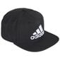 Kepurė Adidas Snapback GM4984 kaina ir informacija | Vyriški šalikai, kepurės, pirštinės | pigu.lt