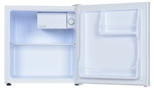 Beko RSO45WEUN цена и информация | Холодильники | pigu.lt