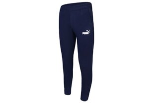 Sportinės kelnės vyrams Puma Essentials 586748-06, mėlynos kaina ir informacija | Sportinė apranga vyrams | pigu.lt