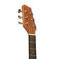 Elektro-akustinė gitara Stagg SA25 DCE MAHO цена и информация | Gitaros | pigu.lt