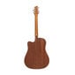 Elektro-akustinė gitara Stagg SA25 DCE MAHO цена и информация | Gitaros | pigu.lt