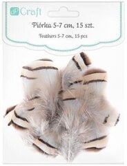 Plunksnos kurapkos, 5-7 cm, 15 vnt. kaina ir informacija | Aplikacijos, papuošimai, lipdukai | pigu.lt