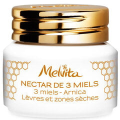 Lūpų balzamas Melvita Nectar de 3 Miels Arnica 8 g kaina ir informacija | Lūpų dažai, blizgiai, balzamai, vazelinai | pigu.lt