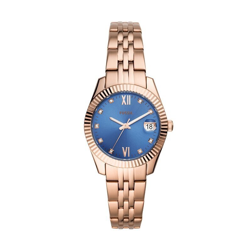 Moteriškas laikrodis Fossil ES4901 kaina ir informacija | Moteriški laikrodžiai | pigu.lt