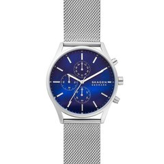 Skagen Holst мужские часы цена и информация | Мужские часы | pigu.lt