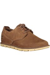 Laisvalaikio batai vyrams Timberland, rudi kaina ir informacija | Vyriški batai | pigu.lt