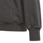 Džemperis mergaitėms Adidas Bos Hoodie Jr GM6957, pilkas kaina ir informacija | Megztiniai, bluzonai, švarkai mergaitėms | pigu.lt