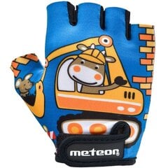 Тренировочные перчатки Meteor Teddy Builder Junior 26184-26185-26186 цена и информация | Тренировочные перчатки | pigu.lt